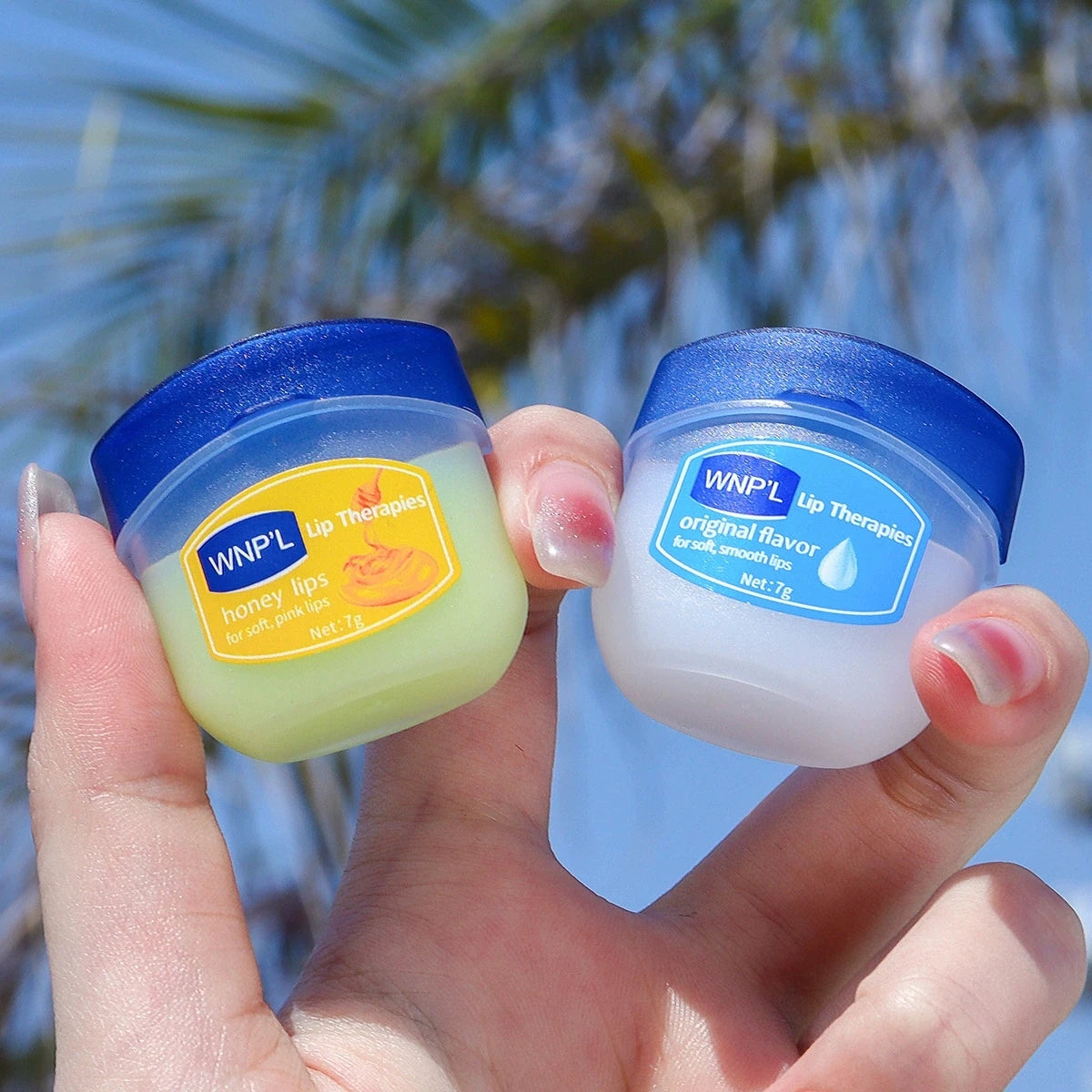 8pcs/box Natural Plant Lip Balm Moisturizing Plump Lips