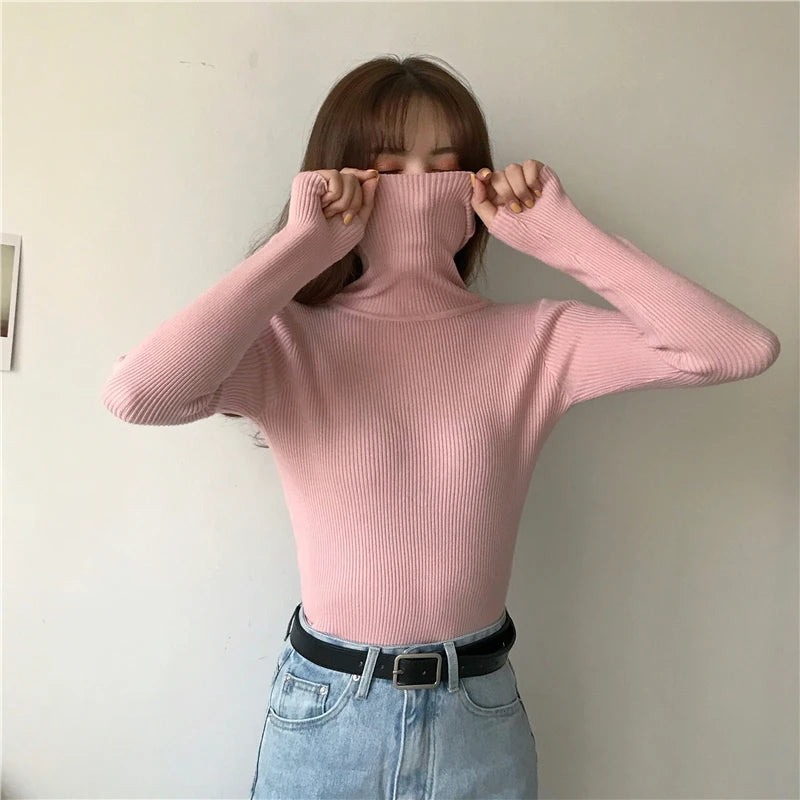 Heliar Women Fall Turtleneck Sweater Knitted Soft Pullovers Cashmere