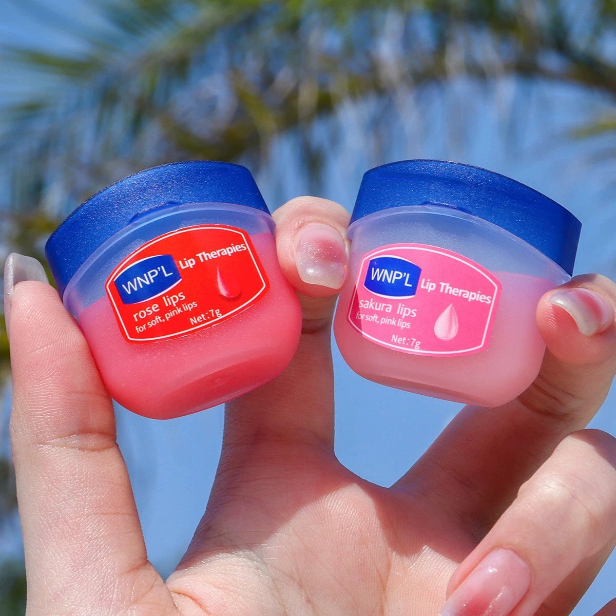 8pcs/box Natural Plant Lip Balm Moisturizing Plump Lips
