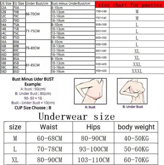 Sexy Lace Panties Sheer Fashionable  Panties