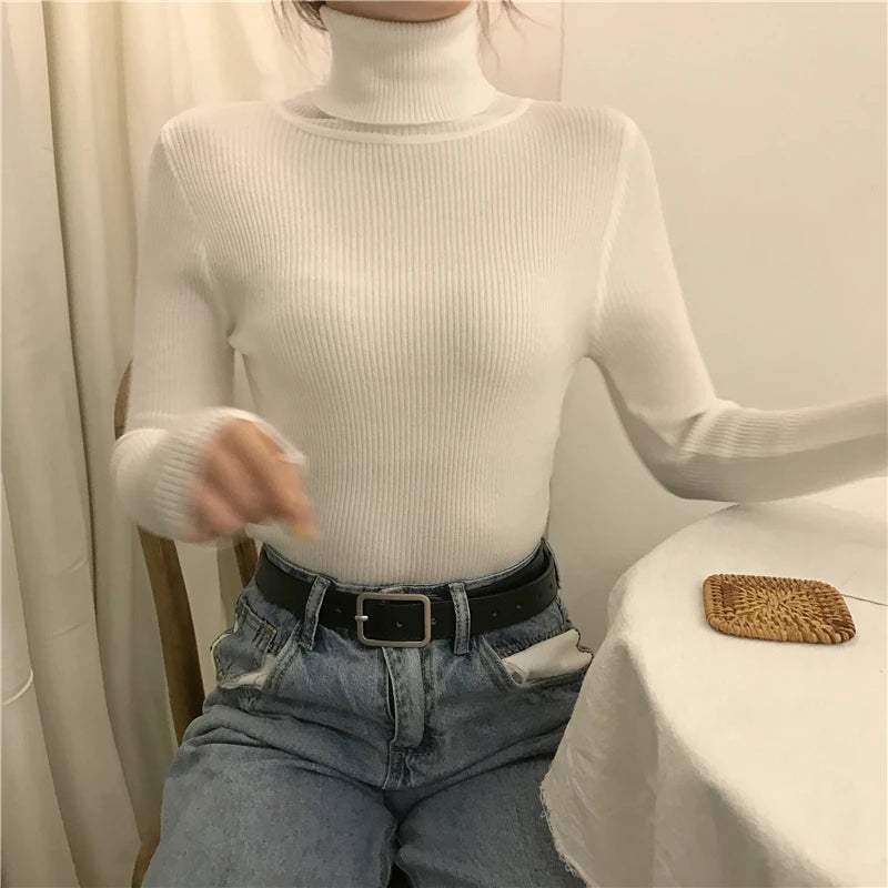 Heliar Women Fall Turtleneck Sweater Knitted Soft Pullovers Cashmere