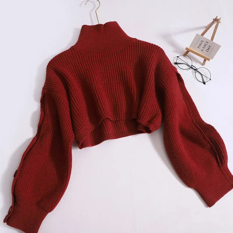 Cropped Sweater Top